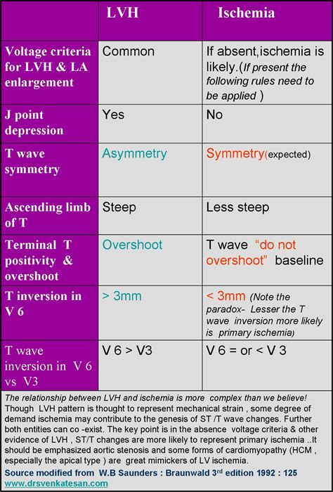 lv strain meaning.